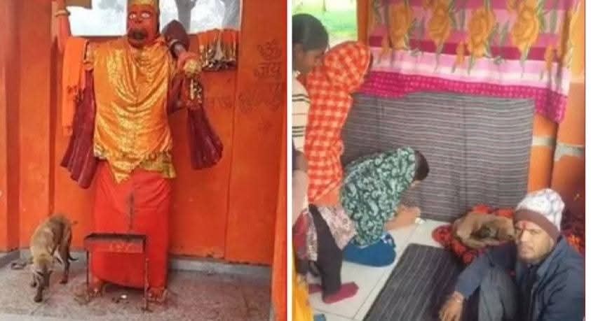 120 घंटे से लगातार मंदिर में मूर्ति के चक्कर लगाने वाले कुत्ते की हालत हुई खराब…