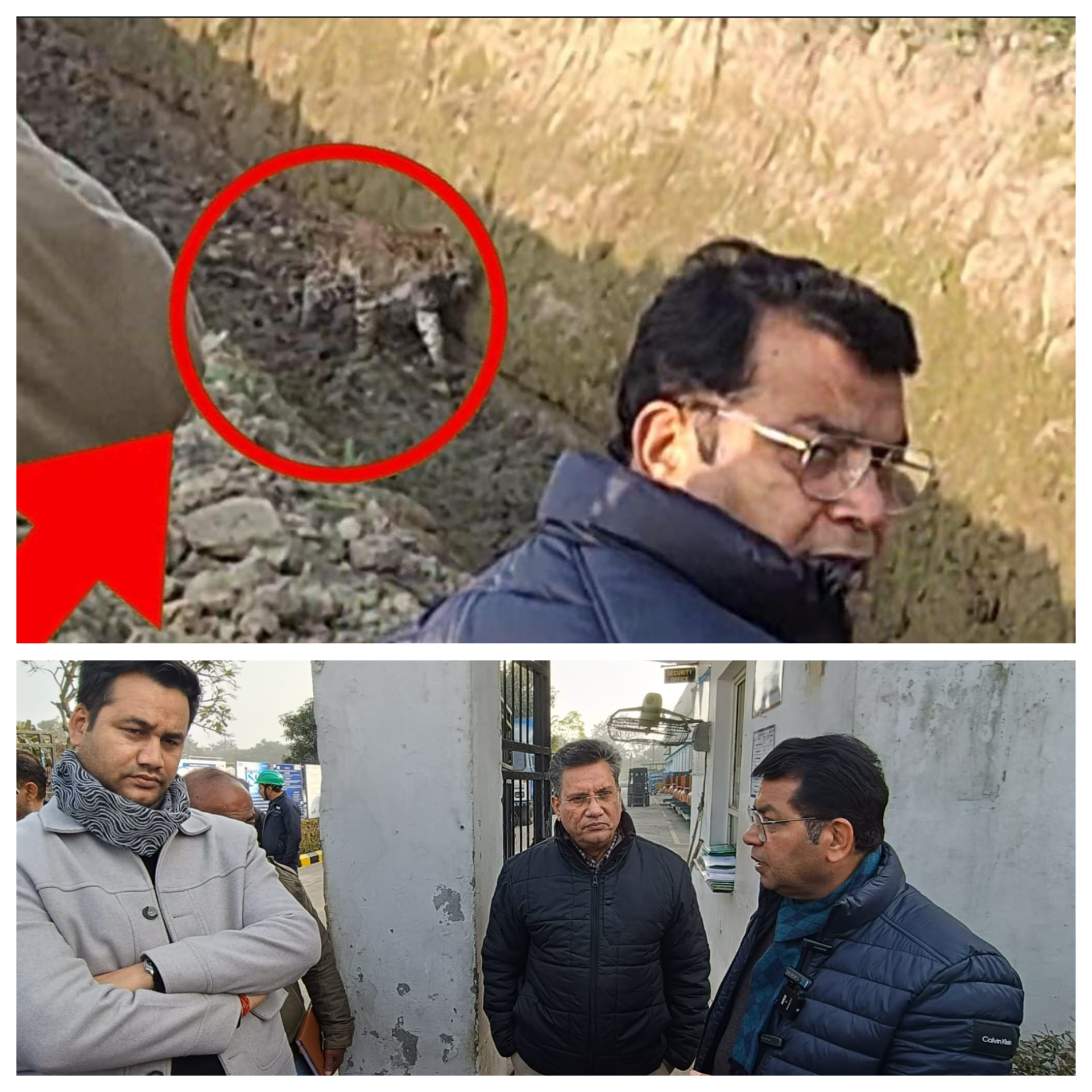 तेंदुए की दस्तक से रुद्रपुर क्षेत्र में दहशत, विधायक शिव अरोरा की मौजूदगी सिडकुल क्षेत्र से लगे खेत मे नजर आया तेंदुआ, विधायक ने अपने सामने वन विभाग से शुरू करवाया रेस्क्यू ऑपरेशन